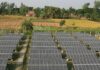 distributed solar