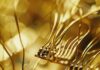 Semiconductor Bonding Market