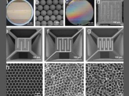 Nanowire Gas Sensor