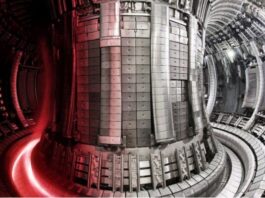 Fusion Energy Market