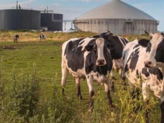 Methane Emissions