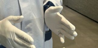 CNT pellicle membranes