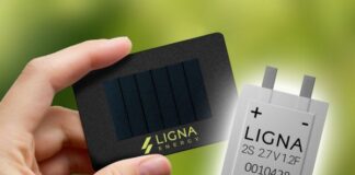 Ligna Energy