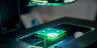 Microelectronics US 2026