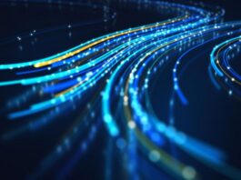 networks test