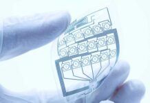 Printed Electronics Market to Grow at 17.6% CAGR Driven by Flexible Tech and Smart Devices Printed Electronics