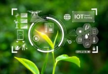 IoT in Agriculture Market Size, Report by 2035 IoT in Agriculture