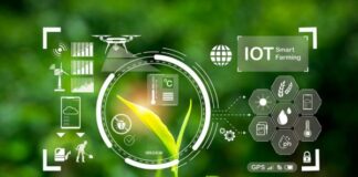 IoT in Agriculture
