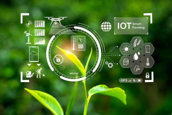 IoT in Agriculture IoT in Agriculture