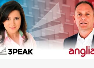 3PEAK-Anglia Deal Brings Smarter, Cost-Effective Analog Parts Analog Parts