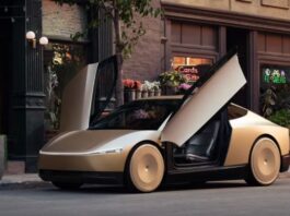 Robotaxi Market