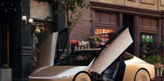 Robotaxi Market