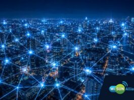Wireless Mesh
