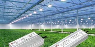 Horticulture Market