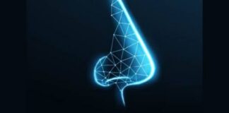Electronic Nose