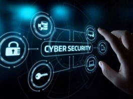 SME Digital Insights
