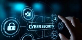 SME Digital Insights
