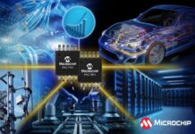 Microchip