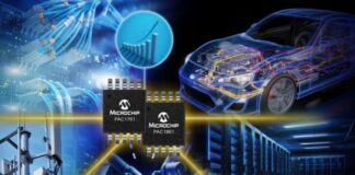 Microchip