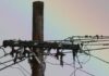 Europe’s Power Sector Targets 80% Zero-Carbon Generation by 2030 Zero-Carbon